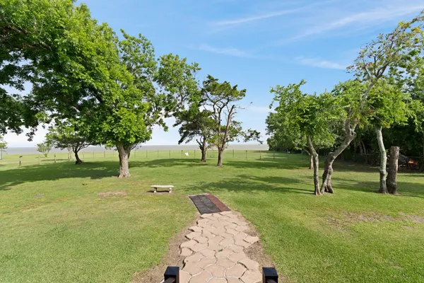 a view of a park with trees