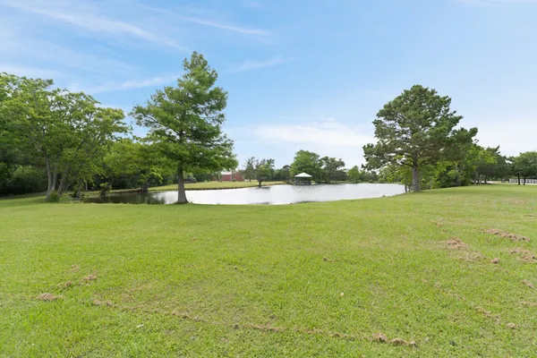 a view of a yard with a tree