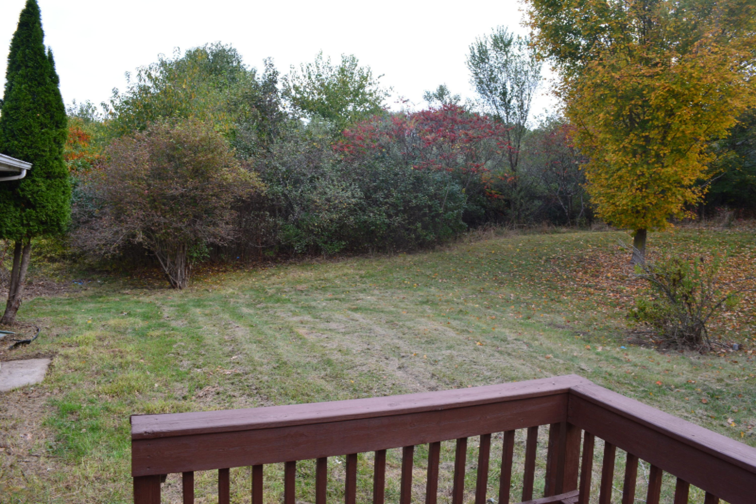 1851 Star School Road Hastings, MI 49058 - Photo 13 of 15 view/yard
