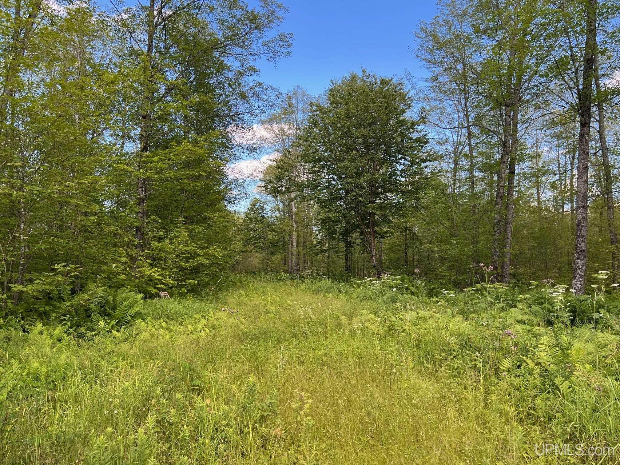 Tbd1 Cut Across Road Michigamme, MI 49861 - Photo 11 of 15