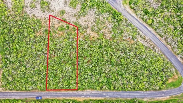 $18,000 | 0 Meadow Trail, Sandia, TX 78383