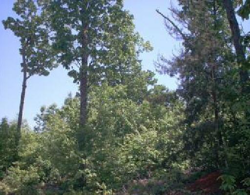 Lot 18 Peaceful Ridge Road Huddleston, VA 24104 - Photo 1 of 1 a view of a tree in a yard