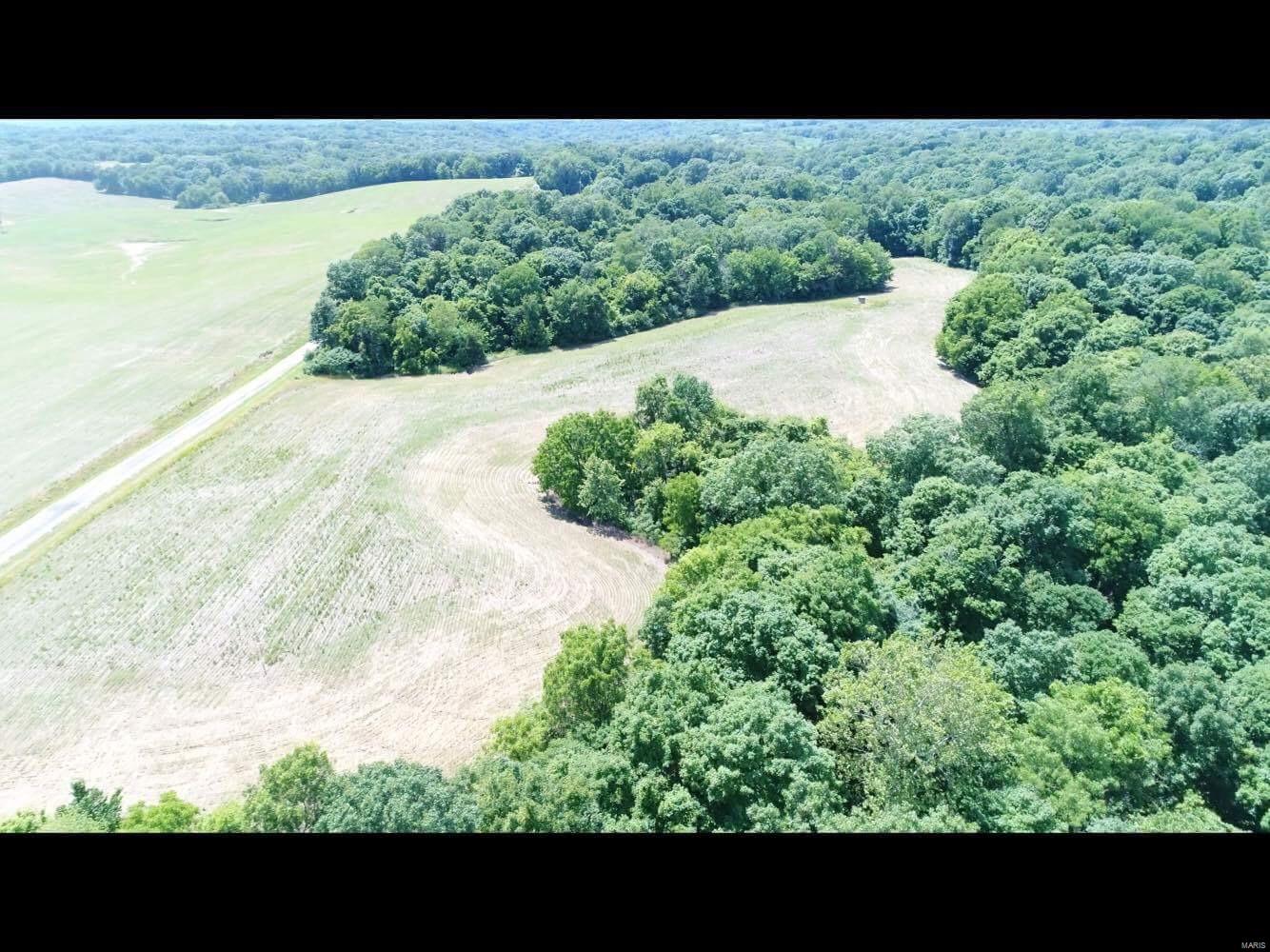 0 Belt Road Fieldon, IL 62031 - Photo 1 of 3