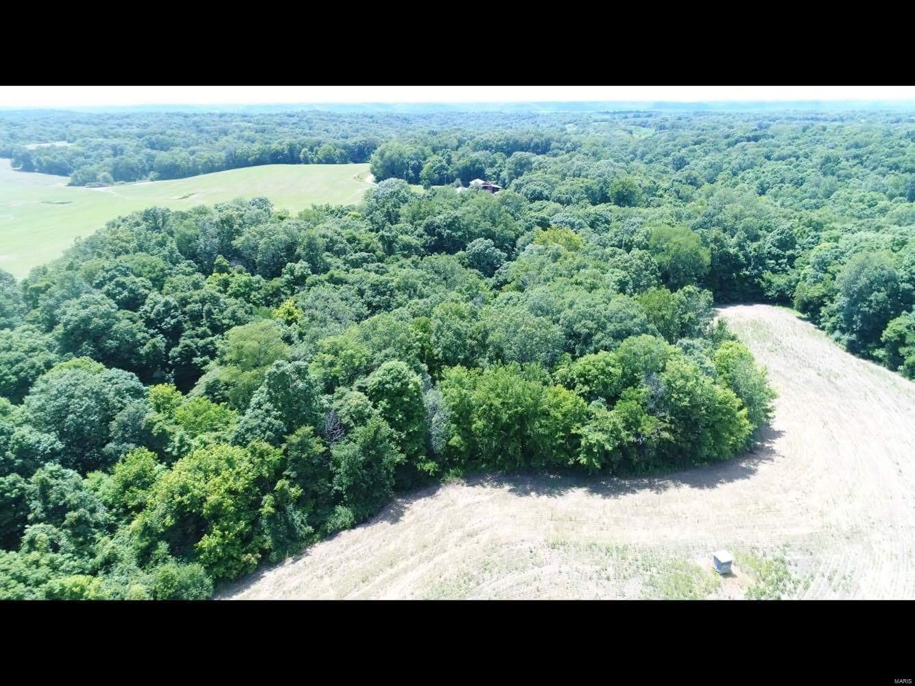 0 Belt Road Fieldon, IL 62031 - Photo 2 of 3