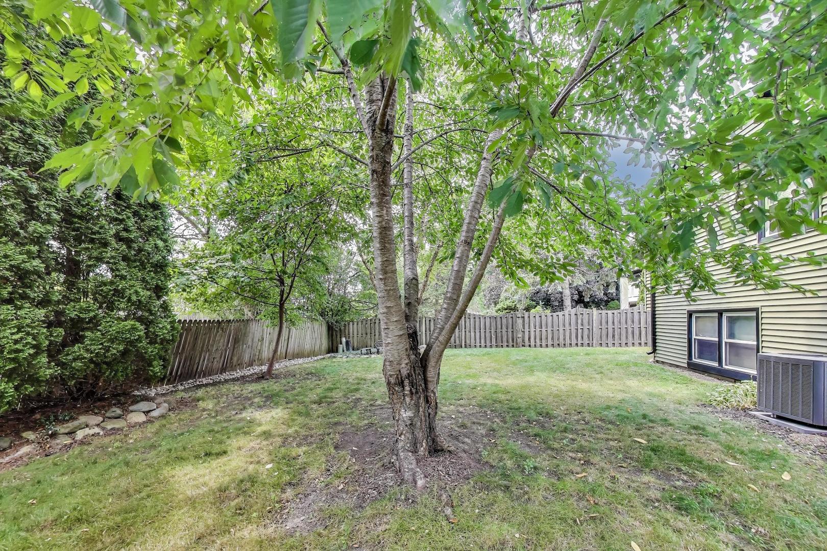 161 East Old Bridge Road Palatine, IL 60067 - Photo 47 of 50 Gallery Image 47