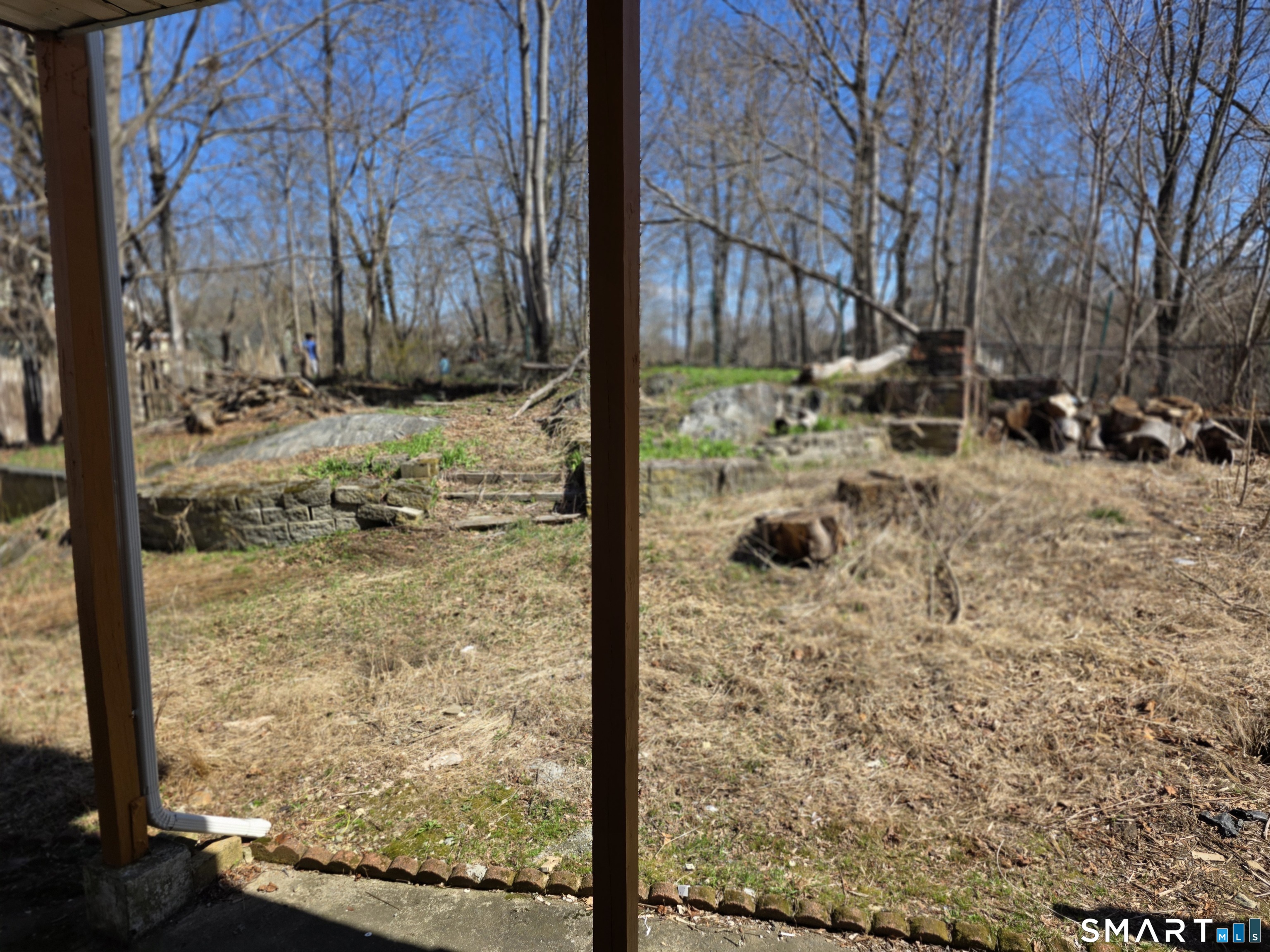 36 Reynolds Street Norwich, CT 06360 - Photo 15 of 17 a view of a yard with large tree