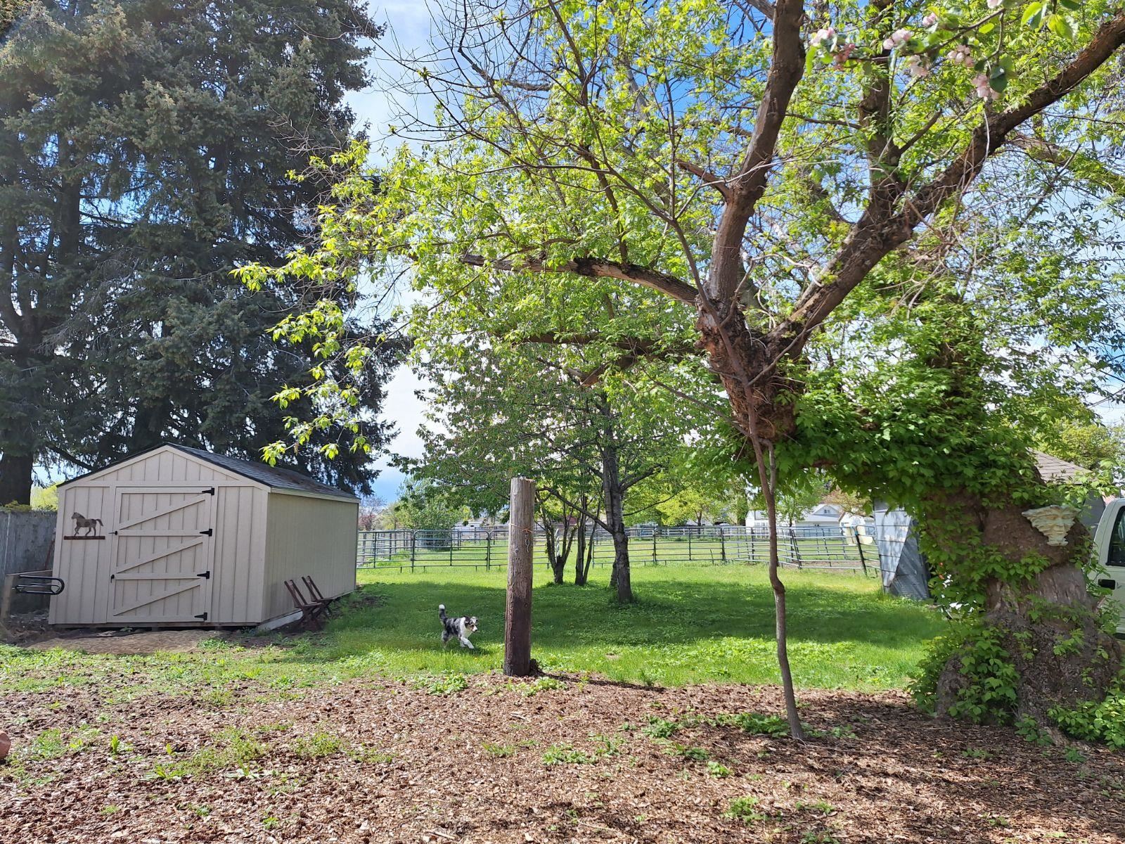 519 North Greenacres Road Greenacres, WA 99016 - Photo 21 of 28 Gallery Image 21
