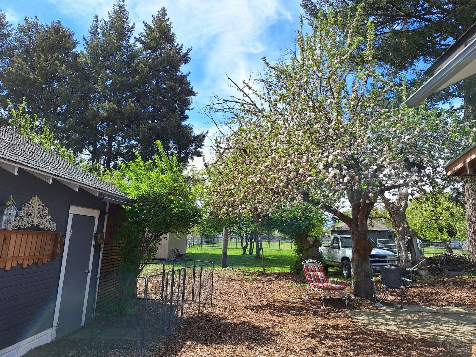 519 North Greenacres Road Greenacres, WA 99016 - Photo 4 of 28 Gallery Image 4