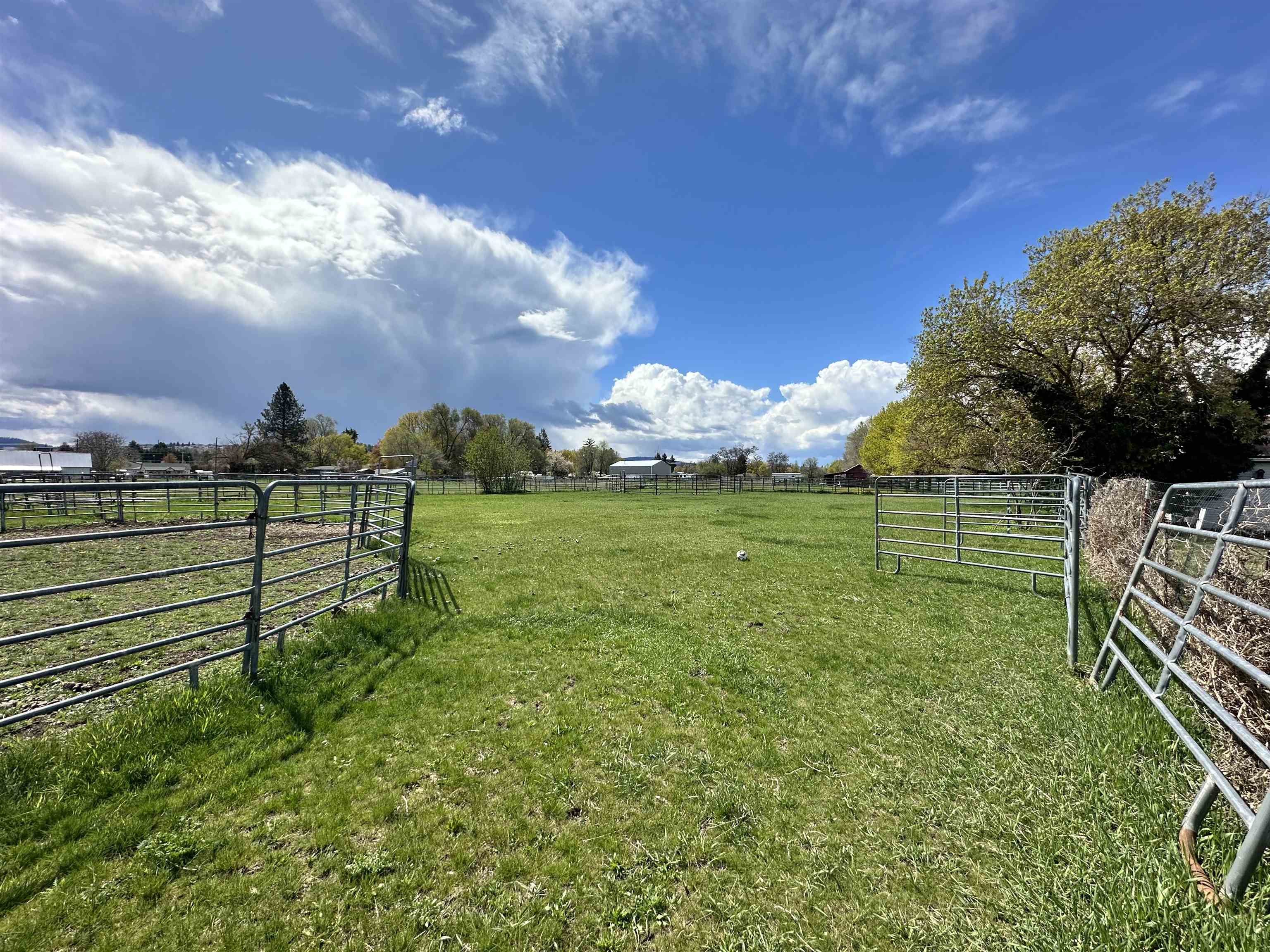 519 North Greenacres Road Greenacres, WA 99016 - Photo 8 of 28 Gallery Image 8