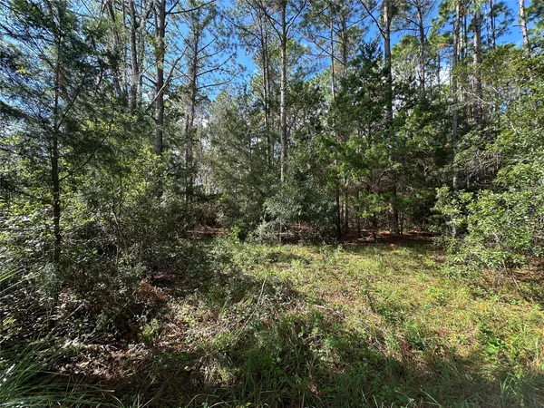 $139,000 | Lot 28-30 Radio Avenue, Yulee, FL 32097
