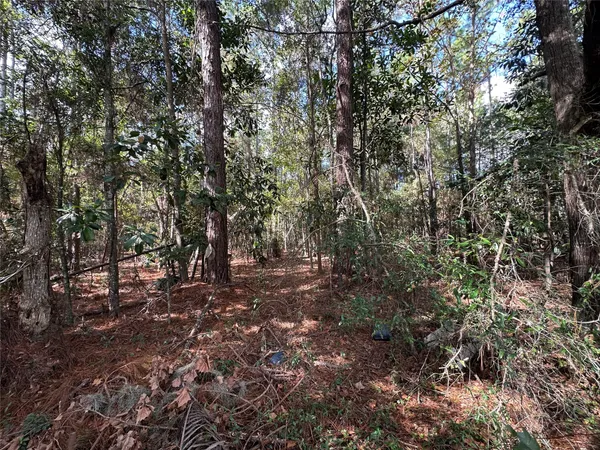 $139,000 | Lot 28-30 Radio Avenue, Yulee, FL 32097