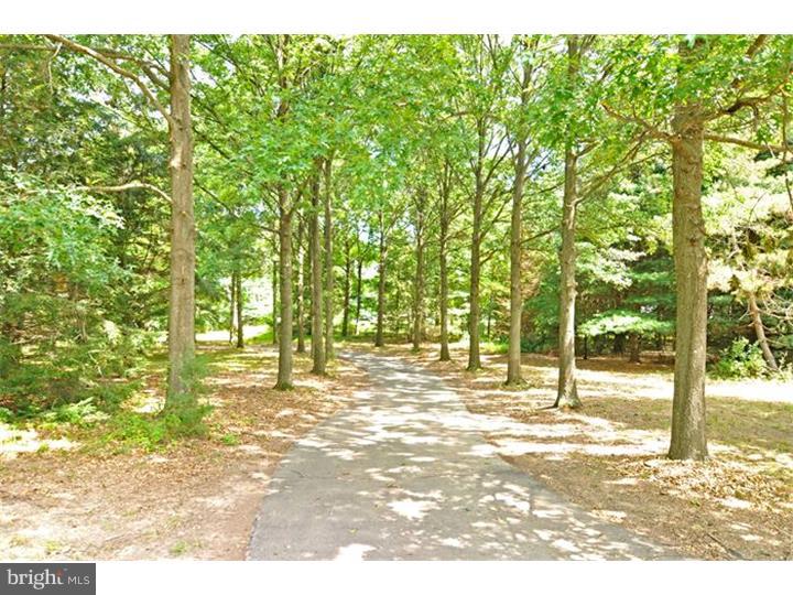 1950 Quarry Road Harleysville, PA 19438 - Photo 2 of 24 Driveway