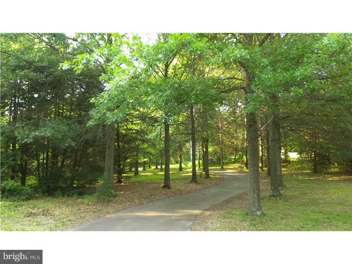 1950 Quarry Road Harleysville, PA 19438 - Photo 3 of 24 Driveway