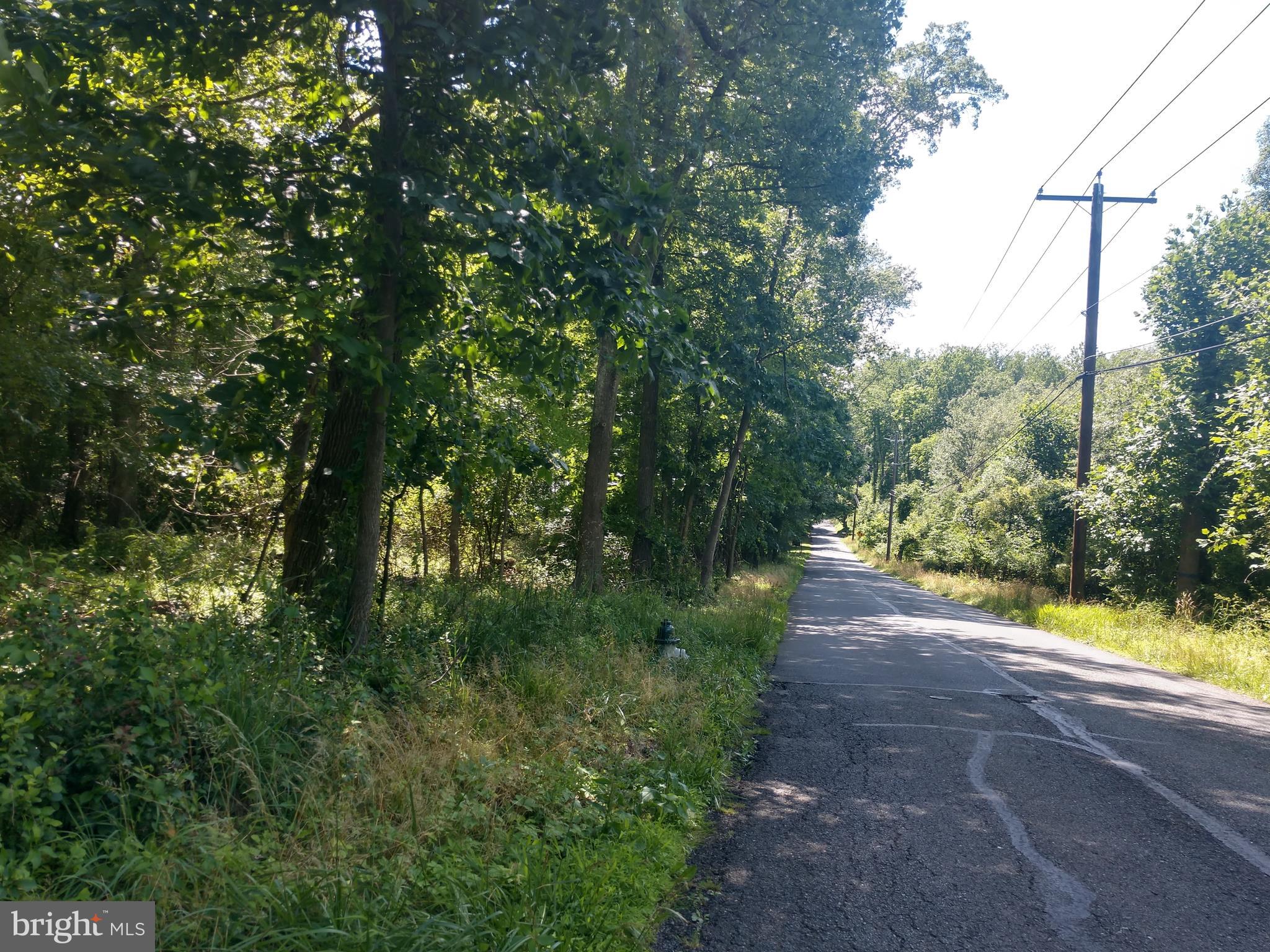 Riggs Road Gaithersburg, MD 20882 - Photo 14 of 16 Quiet country Road