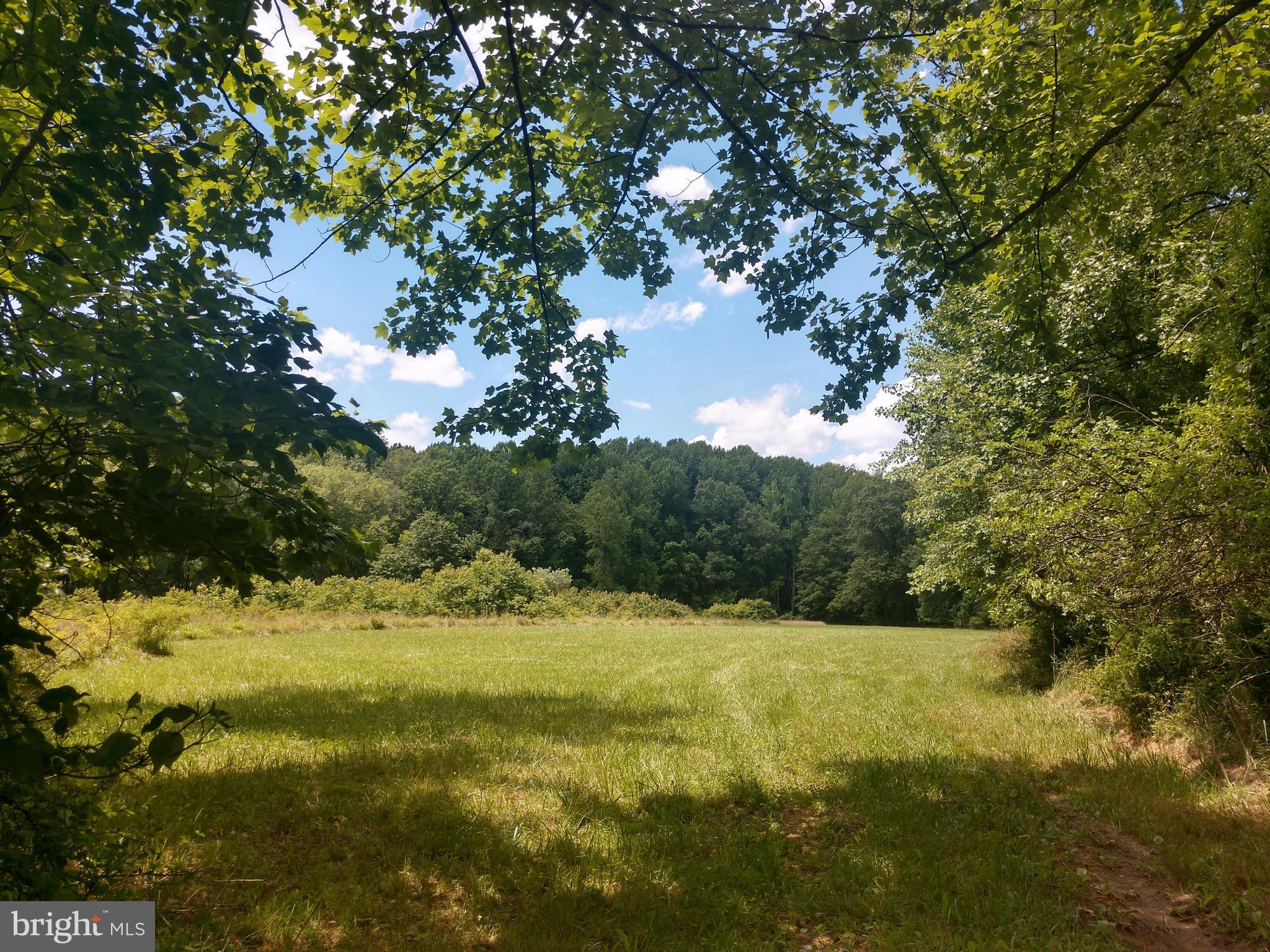 Entrance from Riggs Road