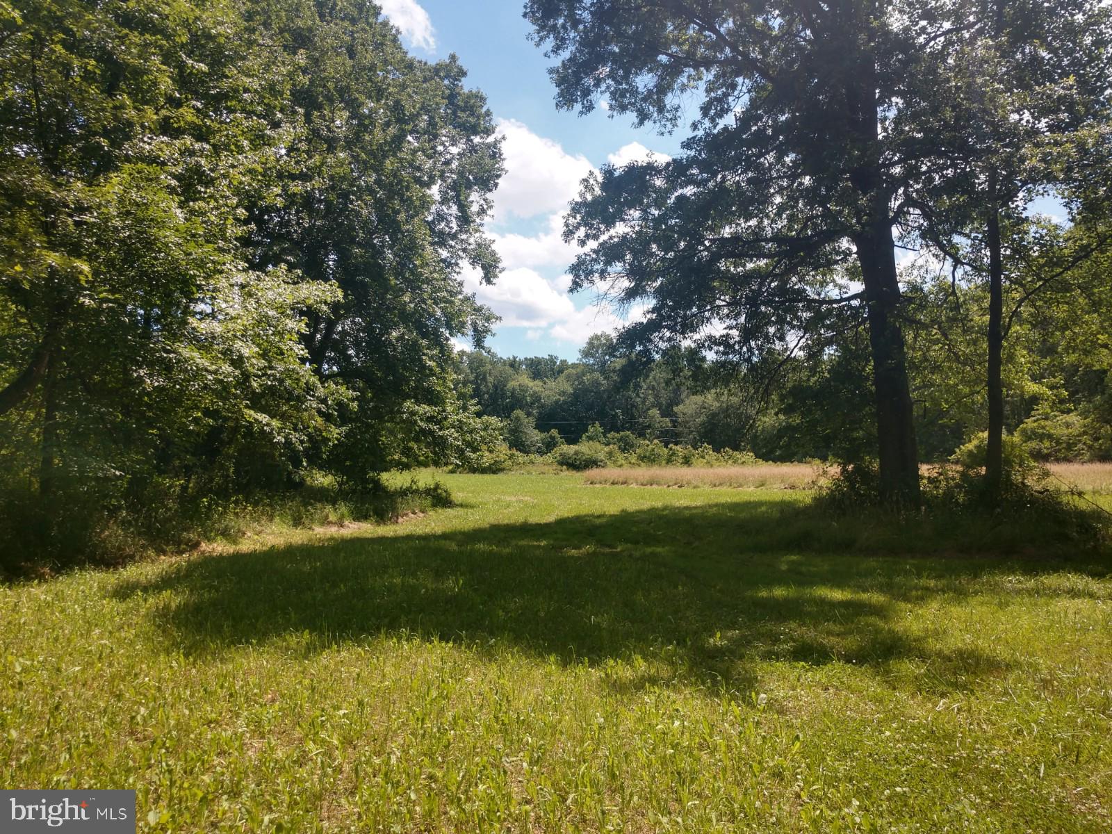 Cleared with trails