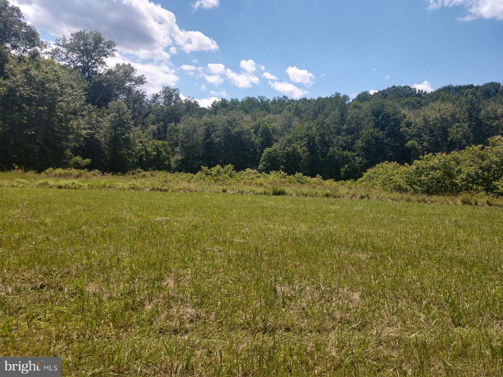 Privacy and nature lover's dream