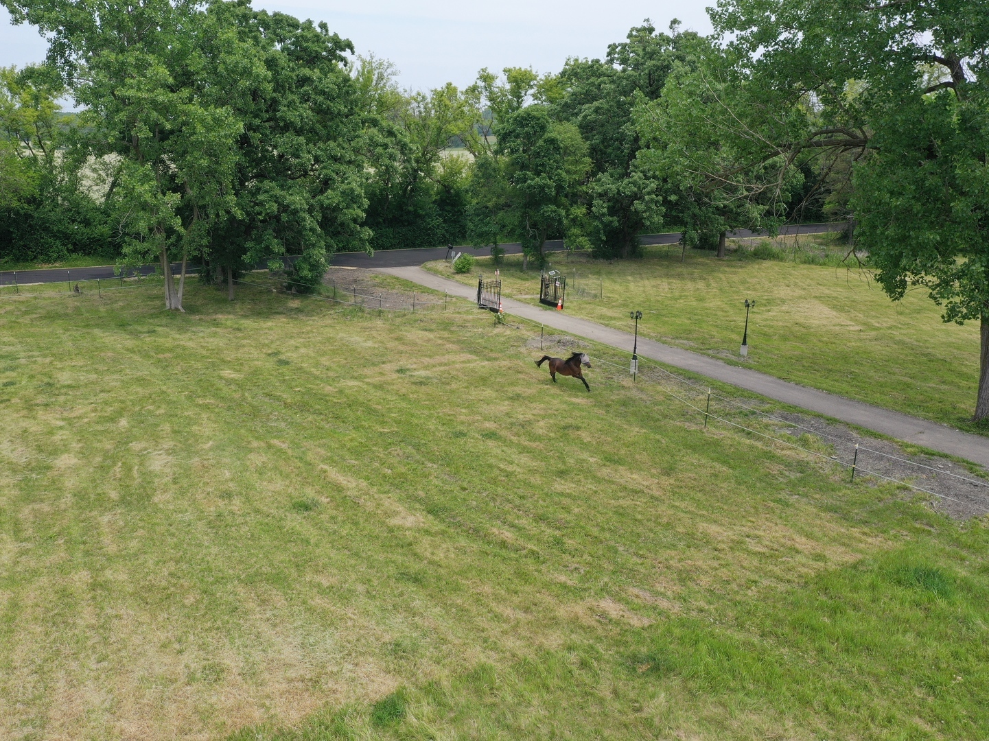a view of a field with trees in the background