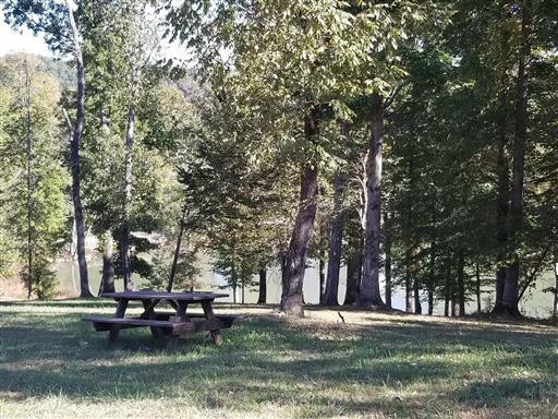 0 Rivers Drive Only, TN 37140 - Photo 5 of 6 Gallery Image 5