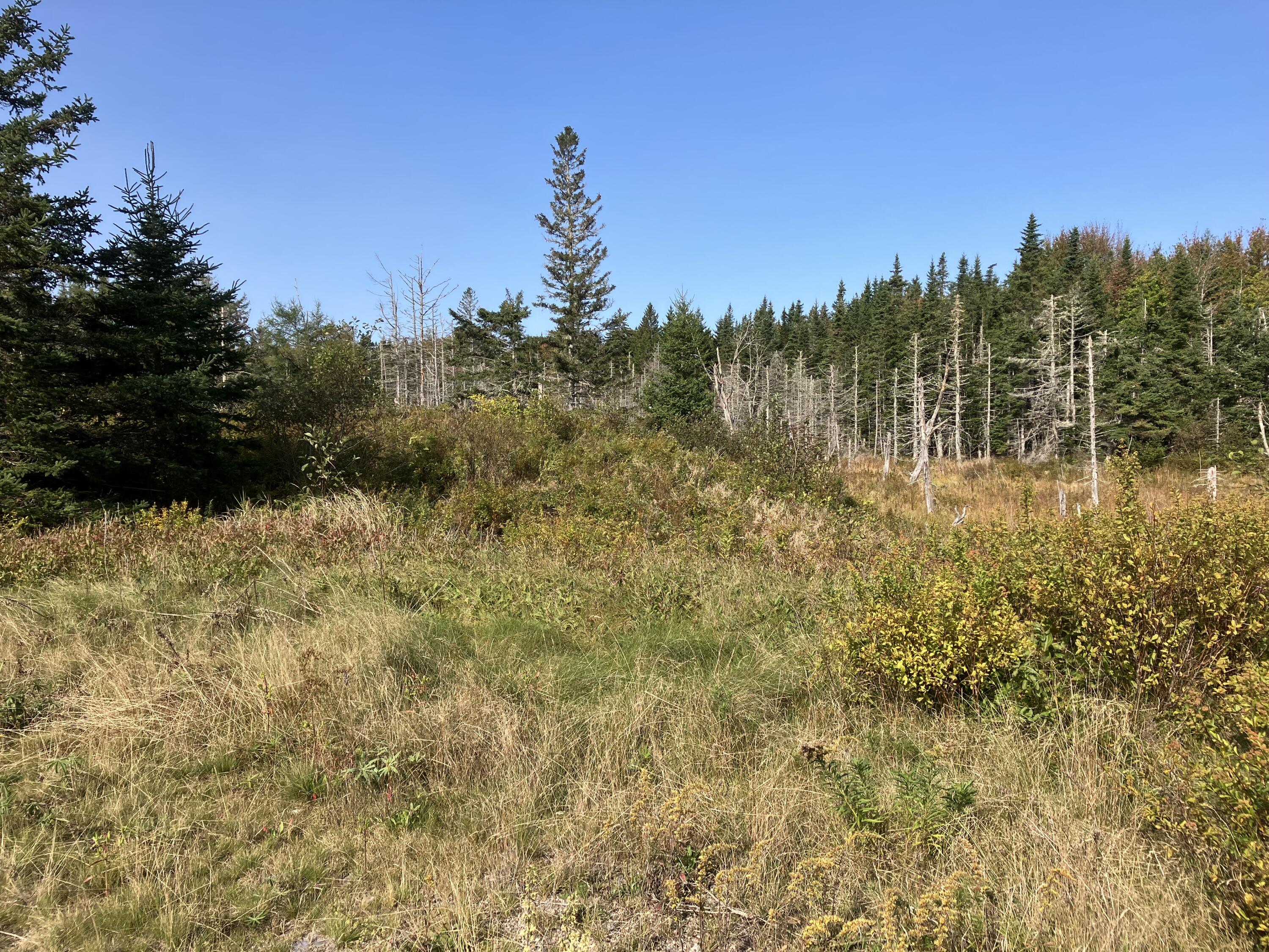 7-8 Bay Road Jonesboro, ME 04648 - Photo 3 of 10 View of Lot