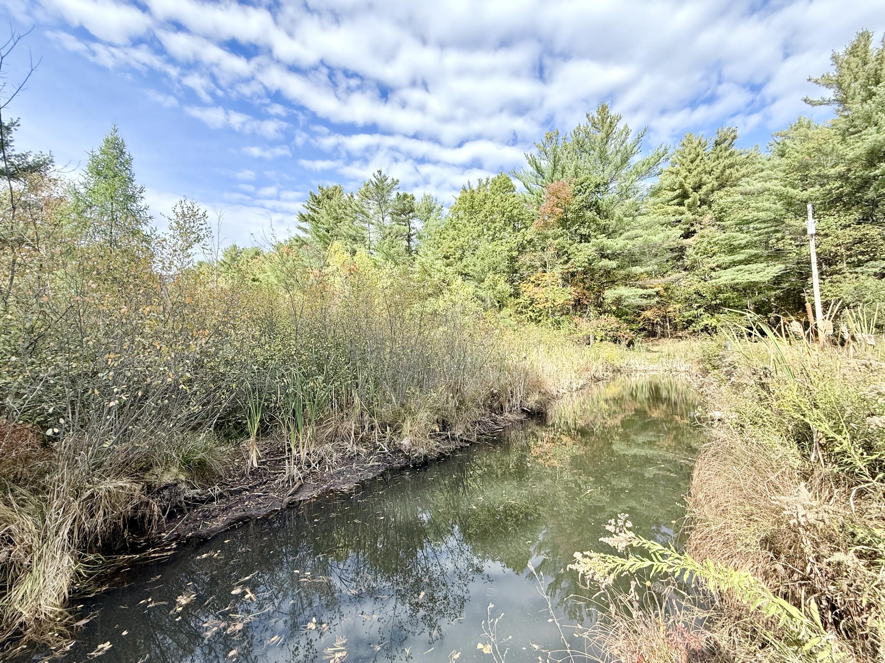 288 Giddings Road Peru, NY 12972 - Photo 17 of 20 Pond