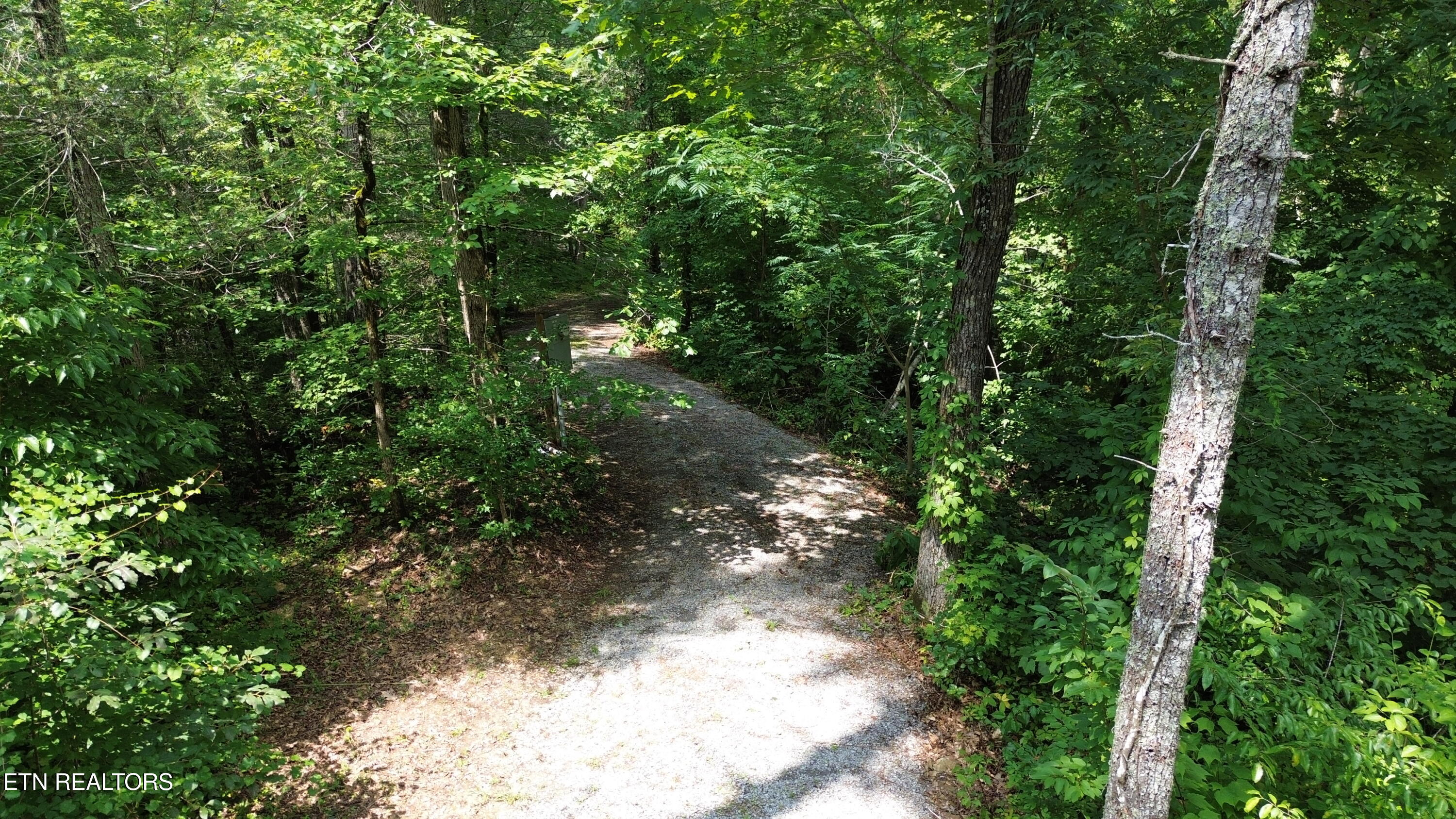 1011 Carrs Creek Road Townsend, TN 37882 - Photo 8 of 13 Drone 6