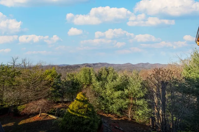 $1,420,000 | 1359 Mountain High Drive, Mineral Bluff, GA 30559