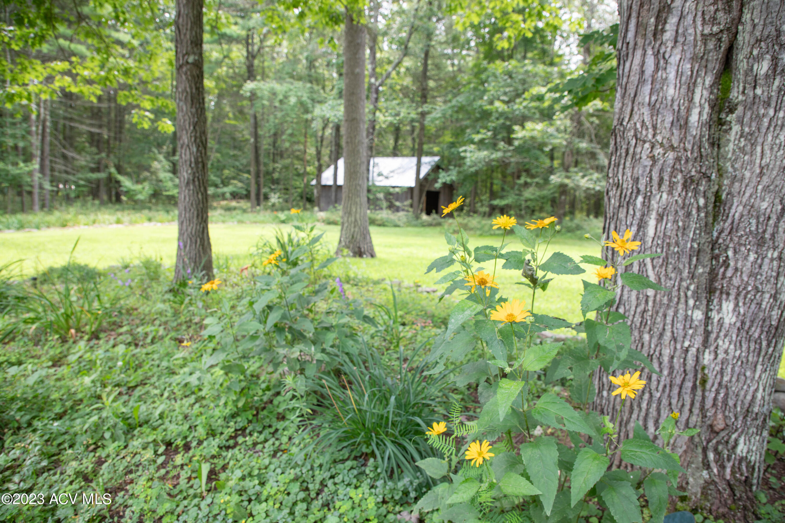196 Plains Road Peru, NY 12972 - Photo 54 of 74 Gallery Image 54