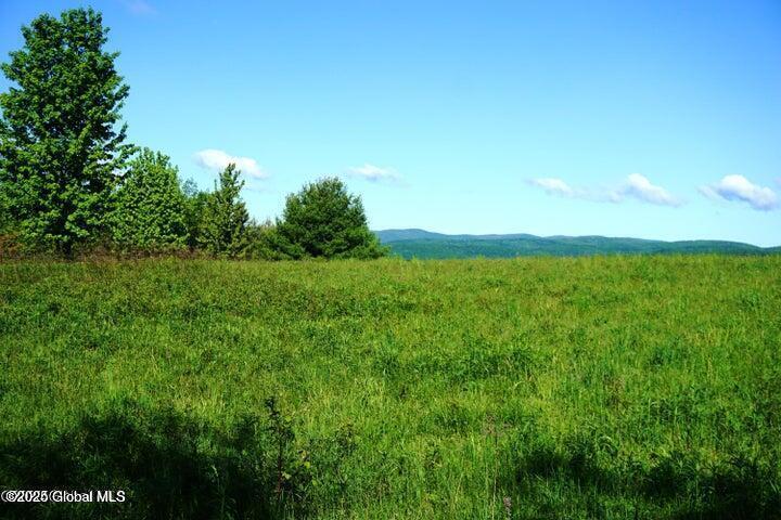 L26 West Fulton Road Warnerville, NY 12187 - Photo 11 of 15 W Fulton pic 9
