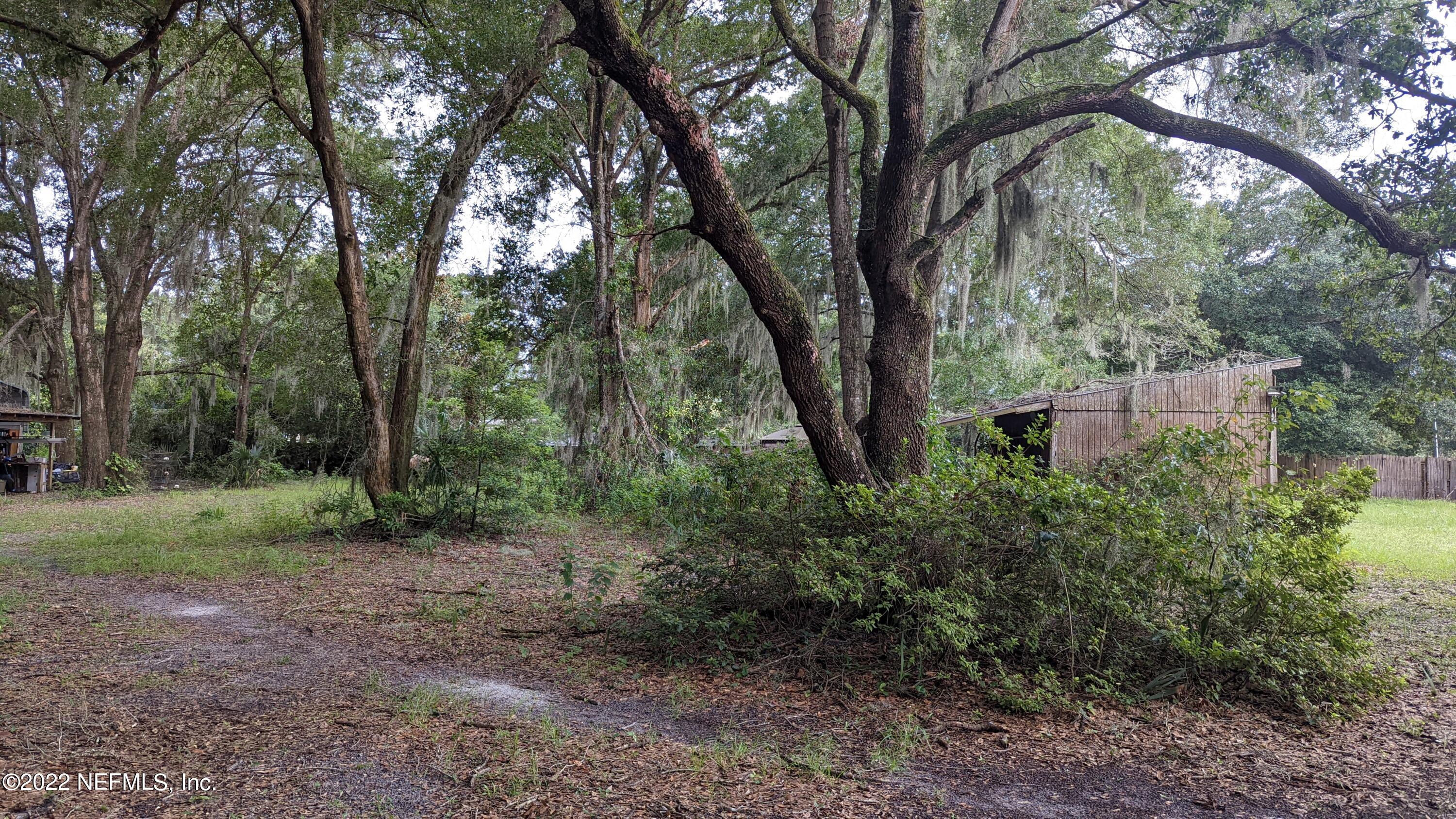 458 Georgetown Shortcut Road Georgetown, FL 32139 - Photo 1 of 32 a view of a forest with trees in front of it