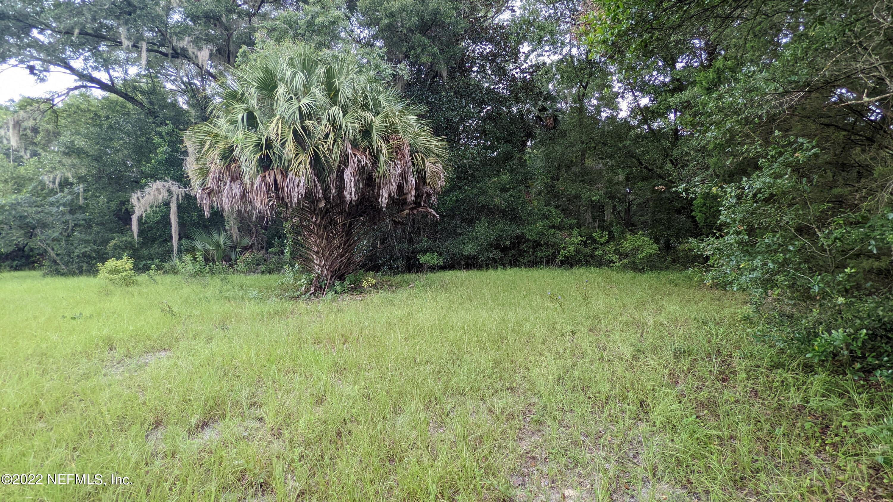 458 Georgetown Shortcut Road Georgetown, FL 32139 - Photo 30 of 32 a view of backyard with green space