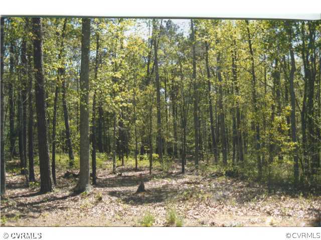 18739 Indian Road Petersburg, VA 23805 - Photo 10 of 10 Yard/Garden