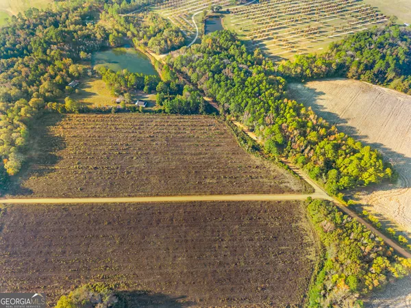 a view of a back yard