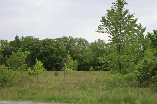 $79,900 | Vl South Beyer Road, Birch Run, MI 48415