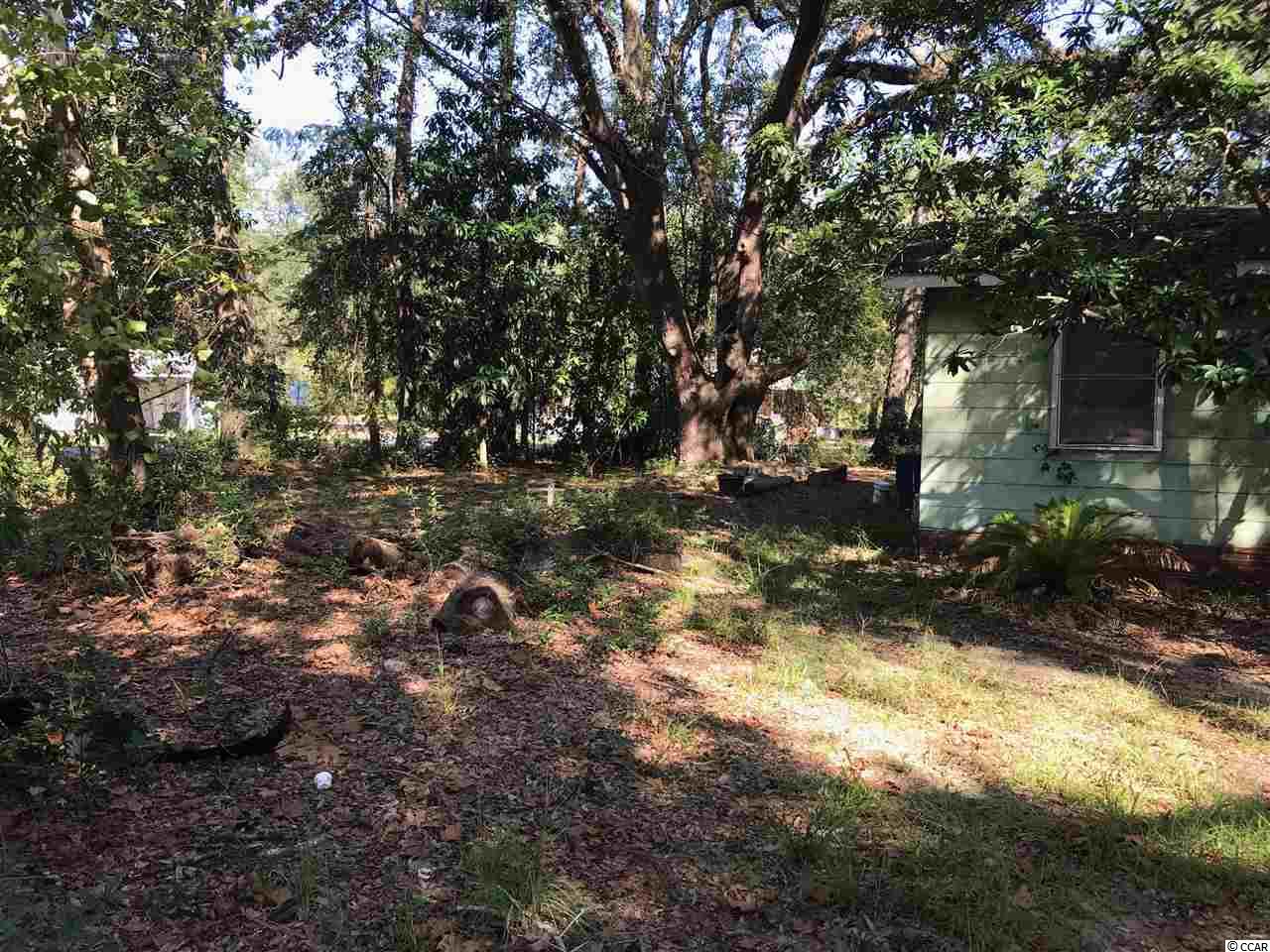 1912 Racepath Avenue Conway, SC 29527 - Photo 3 of 5 Gallery Image 3