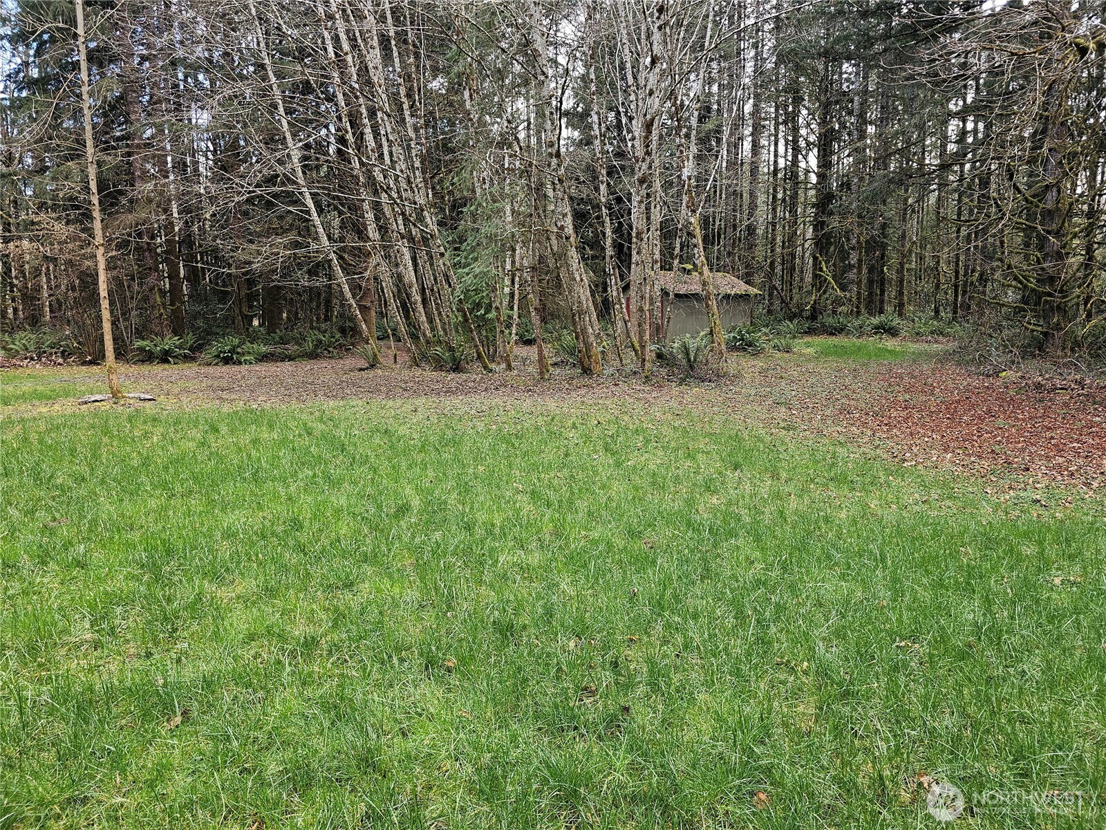 3017 Graf Road Centralia, WA 98531 - Photo 31 of 39 Gallery Image 31