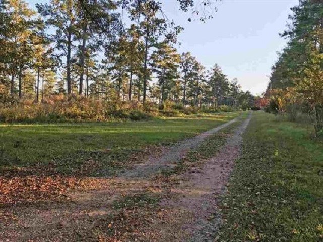 Lot 2 Hidden Pond Road Tallahassee, FL 32317 - Photo 1 of 11 Gallery Image 1