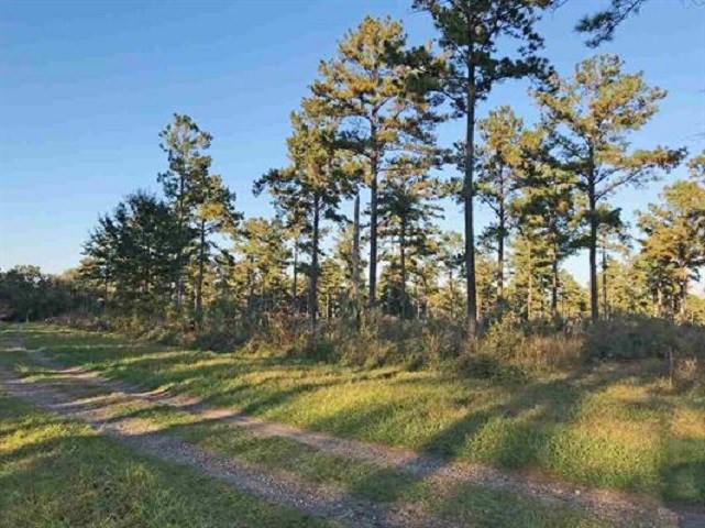 Lot 2 Hidden Pond Road Tallahassee, FL 32317 - Photo 2 of 11 Gallery Image 2