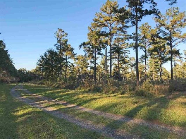 Lot 2 Hidden Pond Road Tallahassee, FL 32317 - Photo 4 of 11 Gallery Image 4