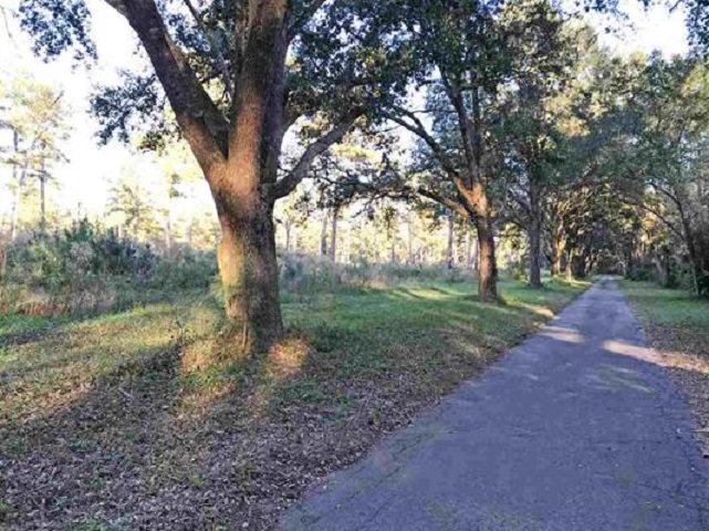 Lot 2 Hidden Pond Road Tallahassee, FL 32317 - Photo 7 of 11 Gallery Image 7