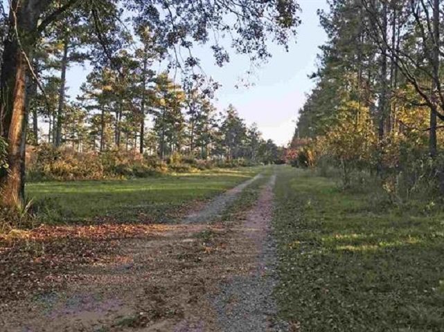 Lot 2 Hidden Pond Road Tallahassee, FL 32317 - Photo 8 of 11 Gallery Image 8