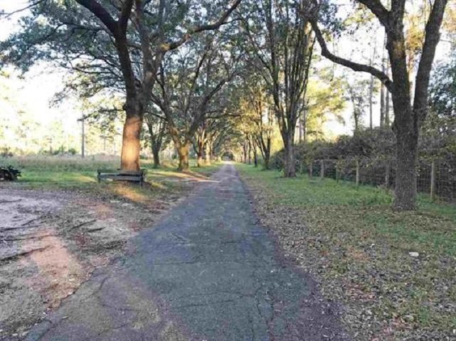 Lot 2 Hidden Pond Road Tallahassee, FL 32317 - Photo 10 of 11 Gallery Image 10