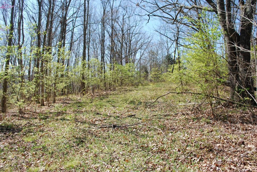 4823 Whites Road Latonia, KY 41015 - Photo 2 of 10 Gallery Image 2