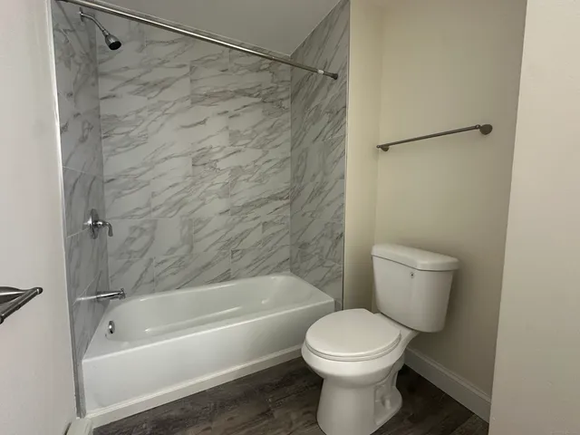 a bathroom with a toilet and a bathtub