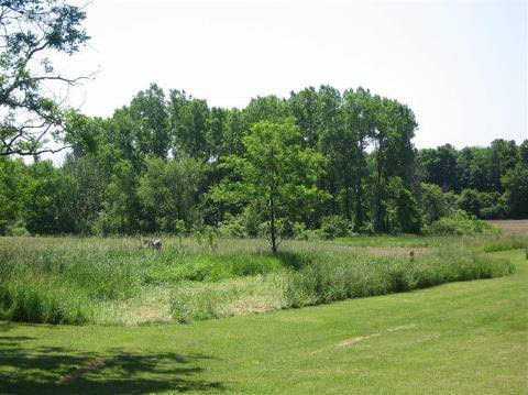 7168 Jordan Road Grand Blanc, MI 48439 - Photo 16 of 27 20256974-15.JPG