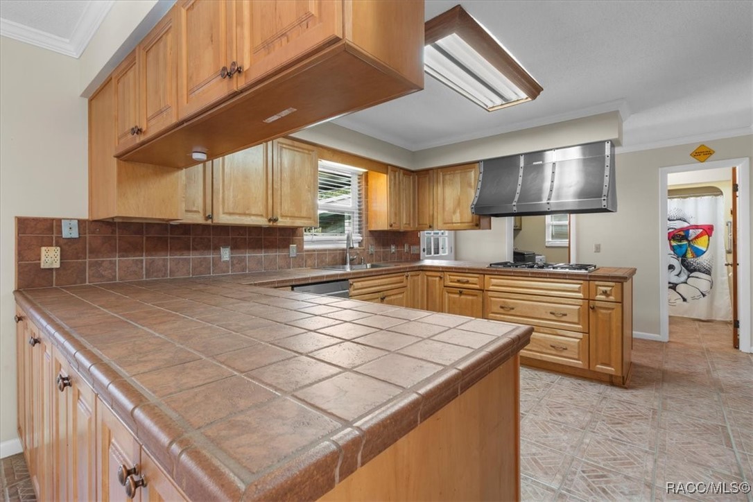 11588 North Caribee Point Inglis, FL 34449 - Photo 14 of 54