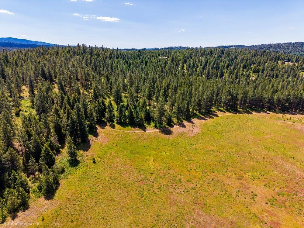 10307 Jasmine Lane Chattaroy, WA 99003 - Photo 11 of 49