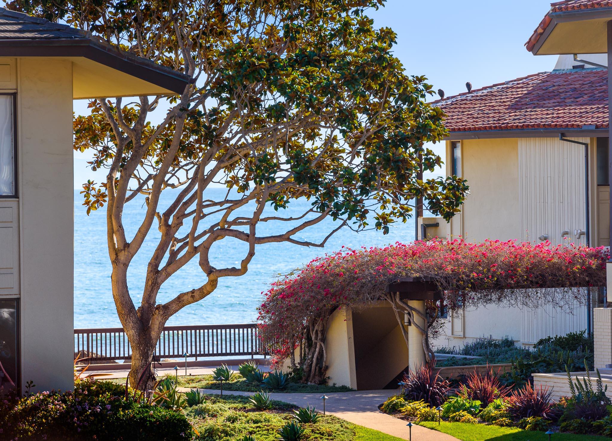 1382 Plaza Pacifica Montecito Ca Montecito, CA 93108 - Photo 4 of 15 PeekView