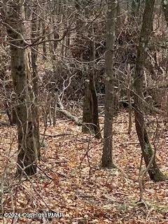 $11,000 | 0 Pine Creek Road, Hawley, PA 18428