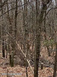 $11,000 | 0 Pine Creek Road, Hawley, PA 18428